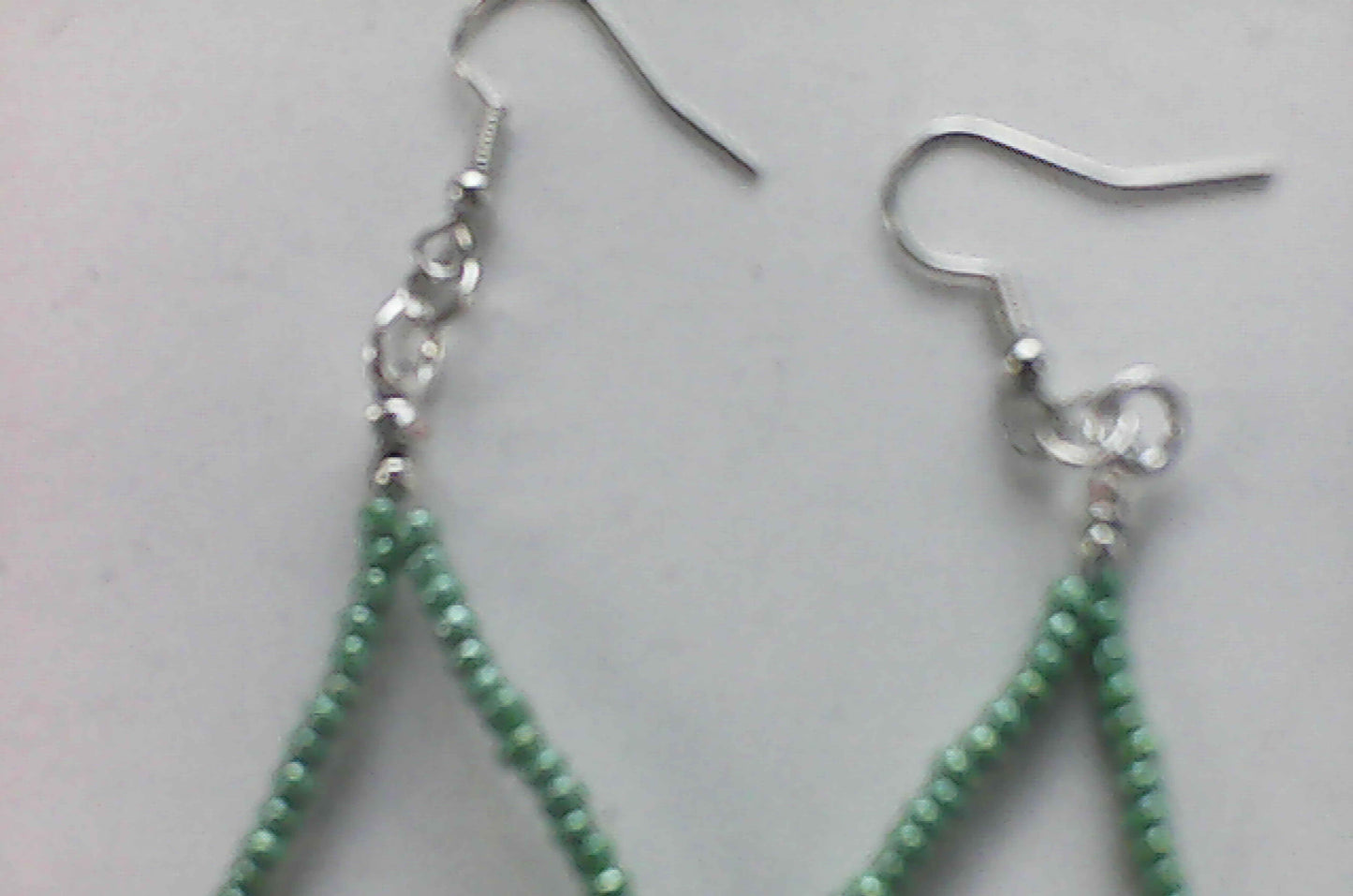 Fern Soleil B (ear rings)